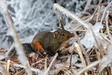 备受期待的超级英雄动作角色扮演游戏Superfuse 将于今年秋季抢先体验